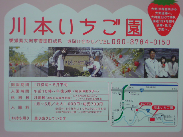 大洲のいちご狩り ほ なんよ 清流の里ひじかわ